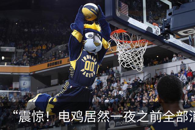 “震惊！电鸡居然一夜之前全部消失，欢迎回到2016年的广州”，一组广州老照片刷屏，网友热议当年电鸡集中整治往事