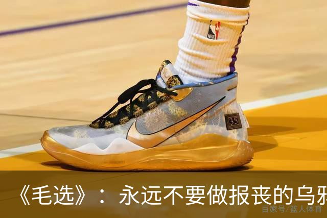 《毛选》：永远不要做报丧的乌鸦