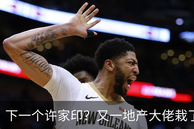 下一个许家印？又一地产大佬栽了，涉案超200亿 已被正式立案调查