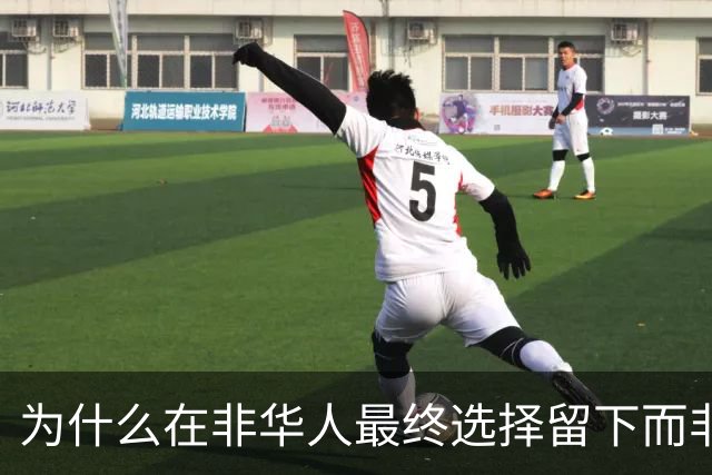 为什么在非华人最终选择留下而非回国