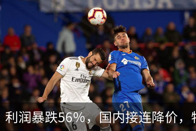 利润暴跌56％，国内接连降价，特斯拉的中国智驾何时兑现？