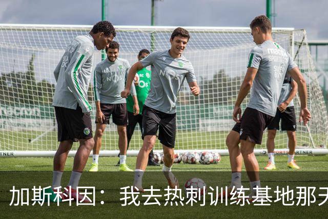 加斯科因：我去热刺训练基地那天，就知道这赛季要出事