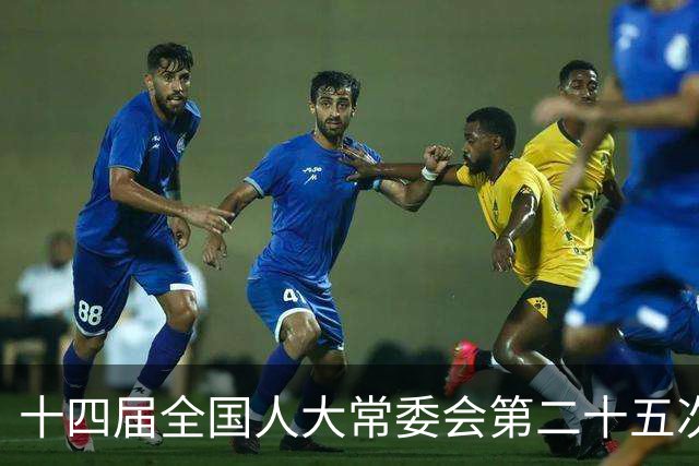 十四届全国人大常委会第二十五次会议11月2日至6日举行