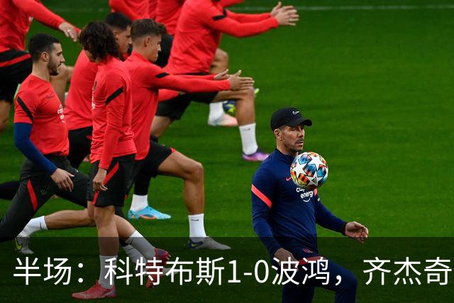 半场：科特布斯1-0波鸿，齐杰奇点射破门