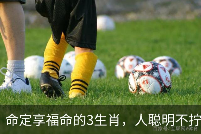 命定享福命的3生肖，人聪明不拧巴，这辈子都有人疼不缺钱花！