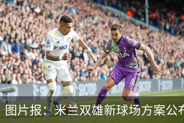 图片报：米兰双雄新球场方案公布，球迷吐槽像洗衣机