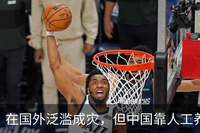 在国外泛滥成灾，但中国靠人工养殖，国外甚至每年花50亿元难消灭