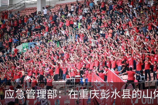 应急管理部：在重庆彭水县的山体崩塌事故中，网格员第一时间叫应，大幅减少了人员伤亡