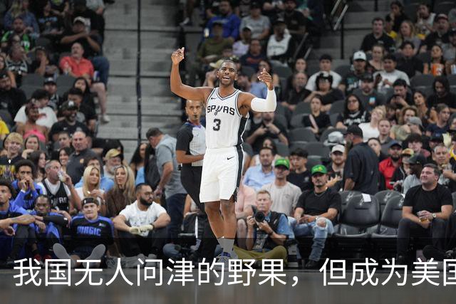 我国无人问津的野果，但成为美国人的心头宝，60元1斤供不应求？