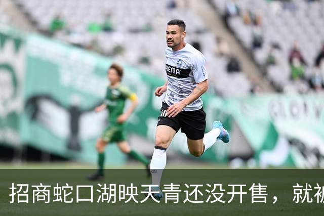 招商蛇口湖映天青还没开售，就被吐槽户型“不咋地”？