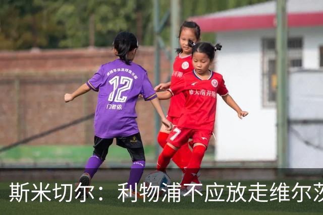 斯米切尔：利物浦不应放走维尔茨，应给他更多适应时间
