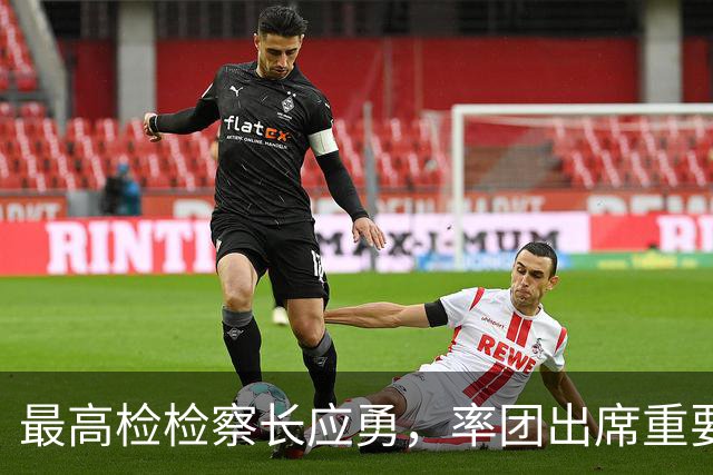 最高检检察长应勇，率团出席重要会议