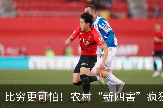 比穷更可怕！农村“新四害”疯狂蔓延，害苦无数家庭