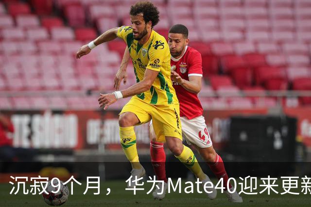 沉寂9个月，华为Mate40迎来更新，体验过后我有点意外