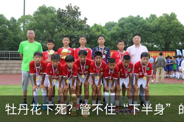 牡丹花下死？管不住“下半身”的张本智和，终为自己的荒唐买了单