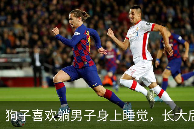 狗子喜欢躺男子身上睡觉，长大后习惯没改，网友：快窒息了！