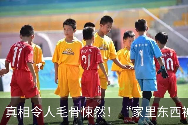 真相令人毛骨悚然！“家里东西被移动过！”上海阿姨感觉不对劲，女儿查看路由器：某日异常停电10分钟…