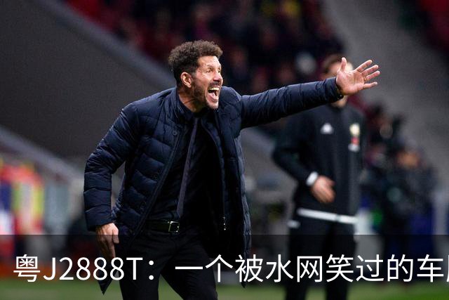 粤J2888T：一个被水网笑过的车牌，后来让我笑不出来了