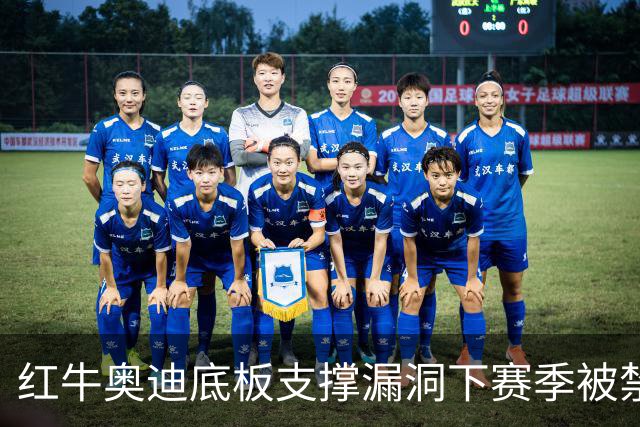 红牛奥迪底板支撑漏洞下赛季被禁
