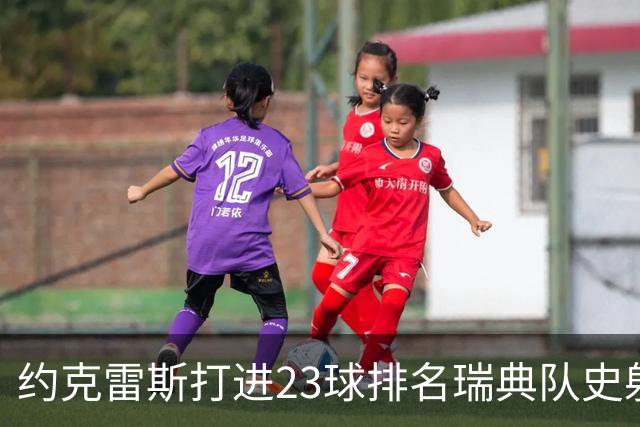 约克雷斯打进23球排名瑞典队史射手榜第12位，伊布62球居首