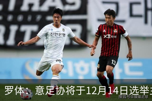 罗体：意足协将于12月14日选举主席和理事会