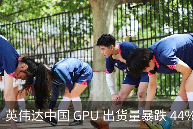 英伟达中国 GPU 出货量暴跌 44%！仍居第一