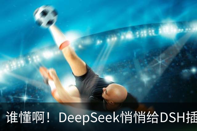 谁懂啊！DeepSeek悄悄给DSH插件开发者发钱了