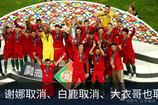 谢娜取消、白鹿取消、大衣哥也取消！只因他们踩了中国人3大雷区