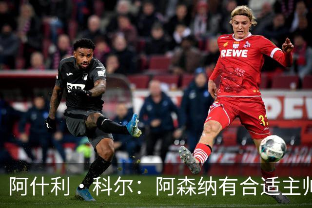 阿什利·科尔：阿森纳有合适主帅和心态，能再创不败赛季