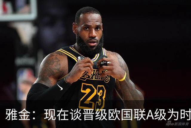 雅金：现在谈晋级欧国联A级为时过早；是否调整看球员状态