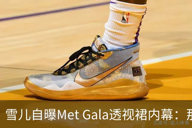 雪儿自曝Met Gala透视裙内幕：那块布料在美国竟不合法