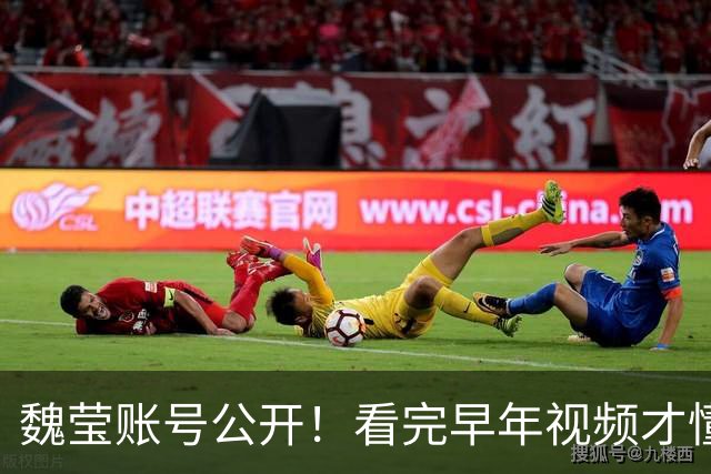魏莹账号公开！看完早年视频才懂，为啥榜一大哥邢某彬不肯放手