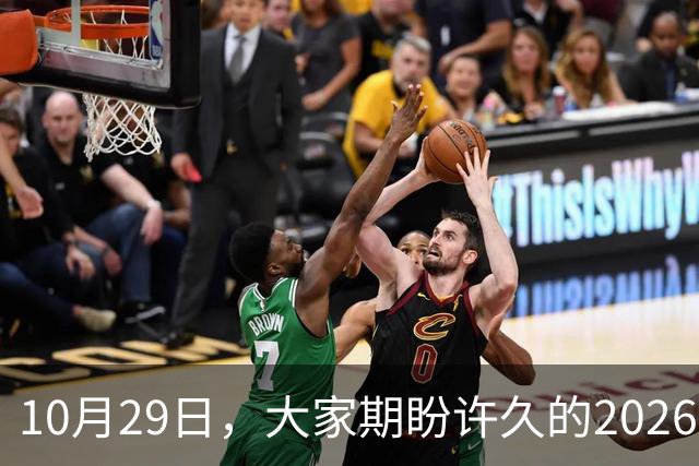 10月29日，大家期盼许久的2026年退休养老金，究竟涨还是不涨？