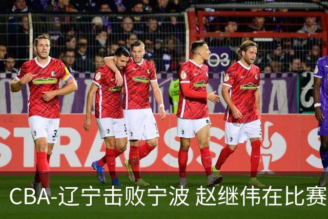 CBA-辽宁击败宁波 赵继伟在比赛中