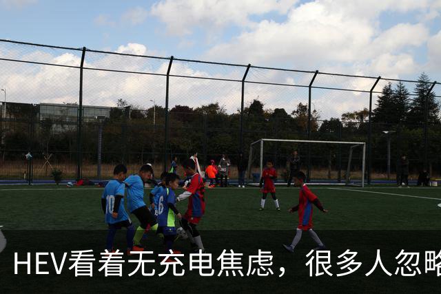 HEV看着无充电焦虑，很多人忽略，它也有隐藏短板