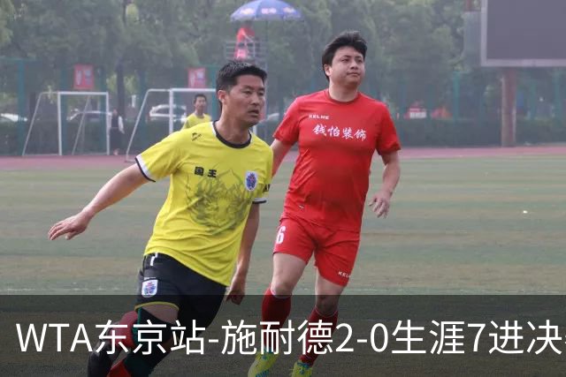 WTA东京站-施耐德2-0生涯7进决赛 将与费尔南德斯争冠